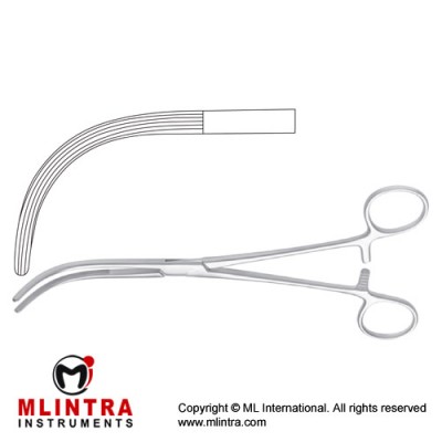 Crafoord-Sellors Haemostatic Forceps Fig. 1 Stainless Steel, 24 cm - 9 1/2" 